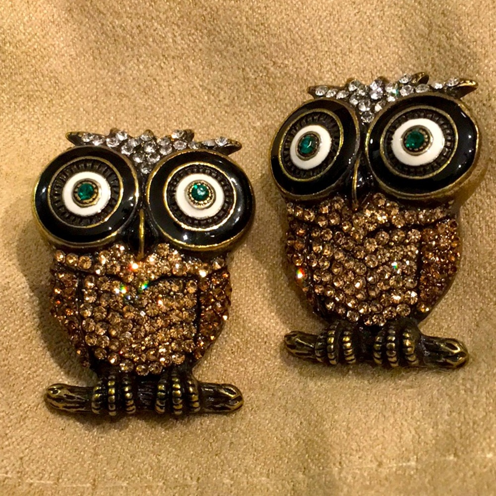 Owl Earrings